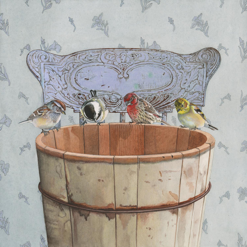 Songbirds Investigate - Gallery