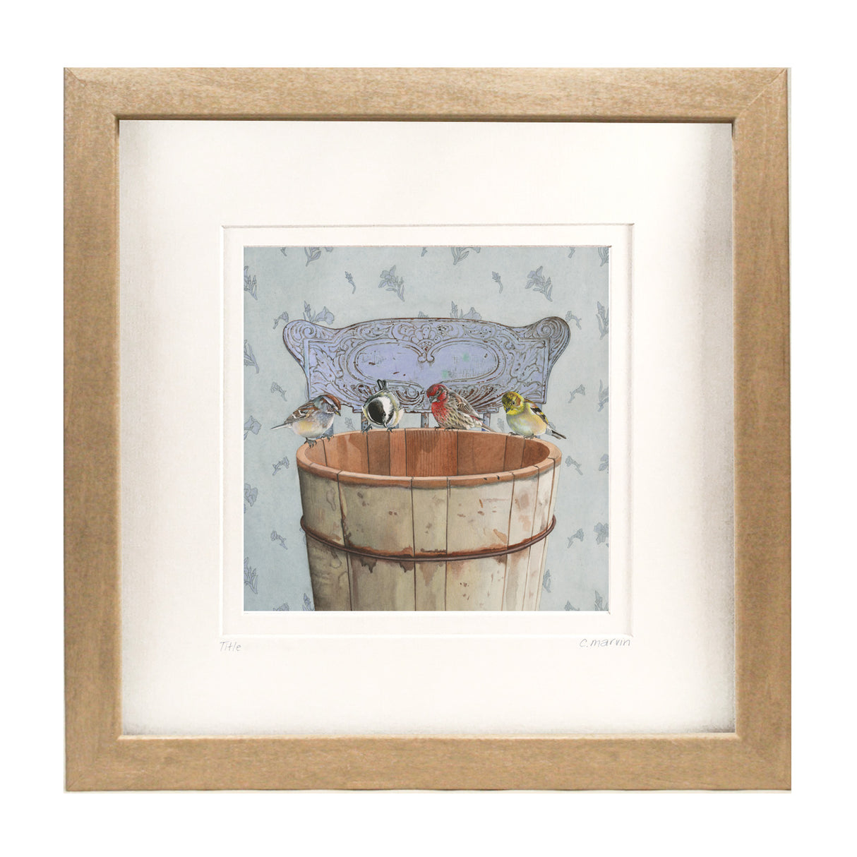 Songbirds Investigate