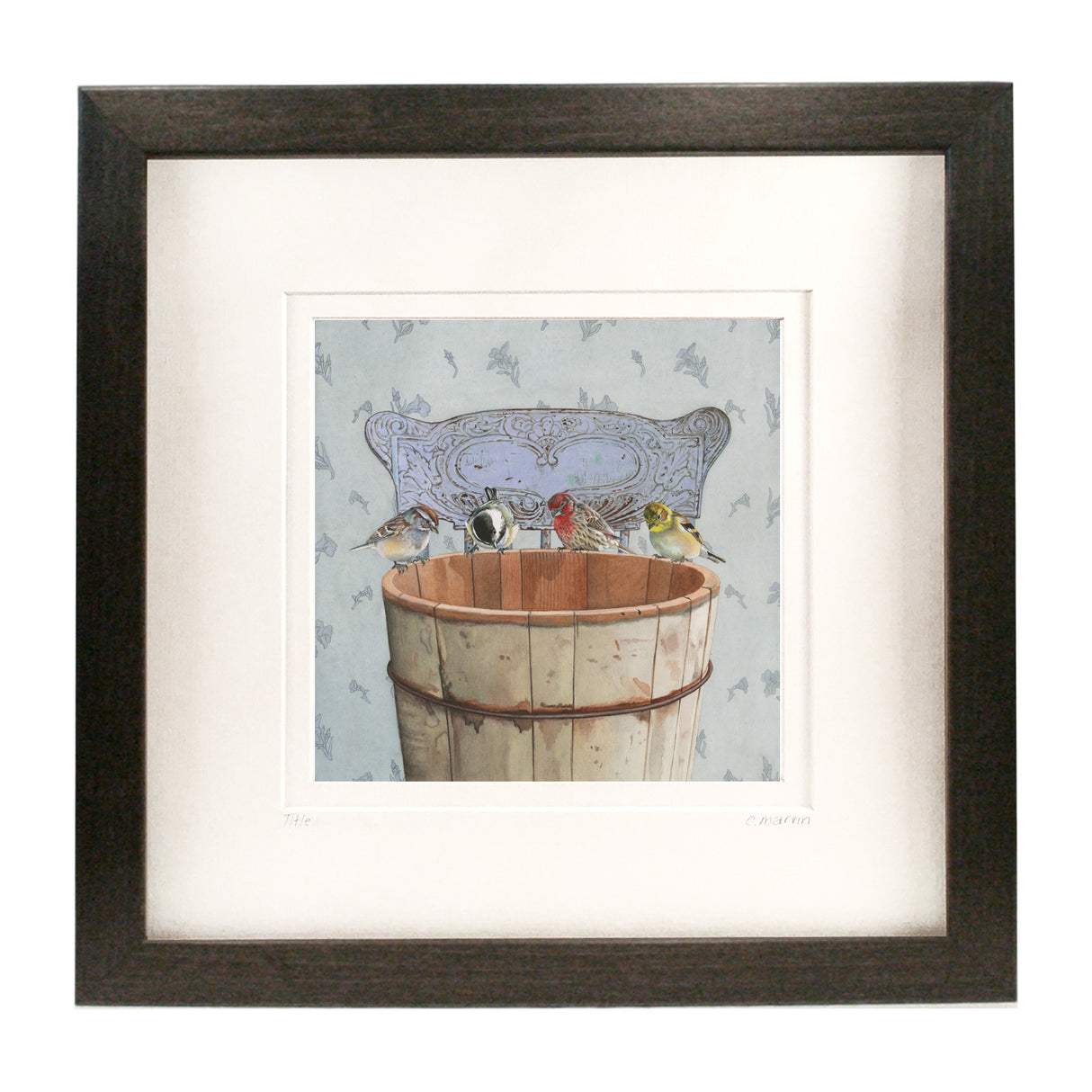 Songbirds Investigate