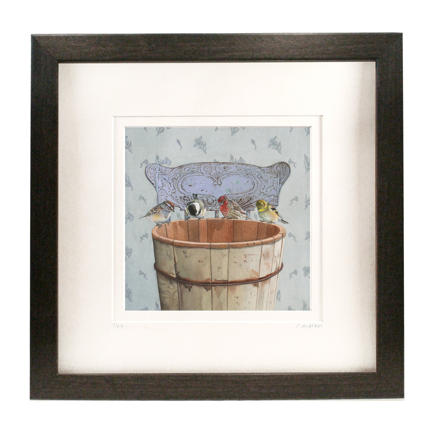 Songbirds Investigate