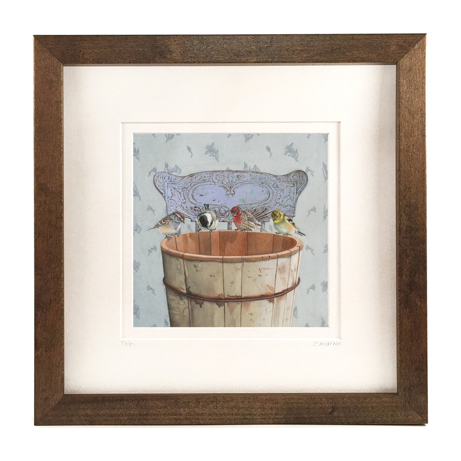 Songbirds Investigate