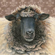 watercolor painting of a headshot of a woolly sheep with a wren in a cozy wool nest on the sheep's head