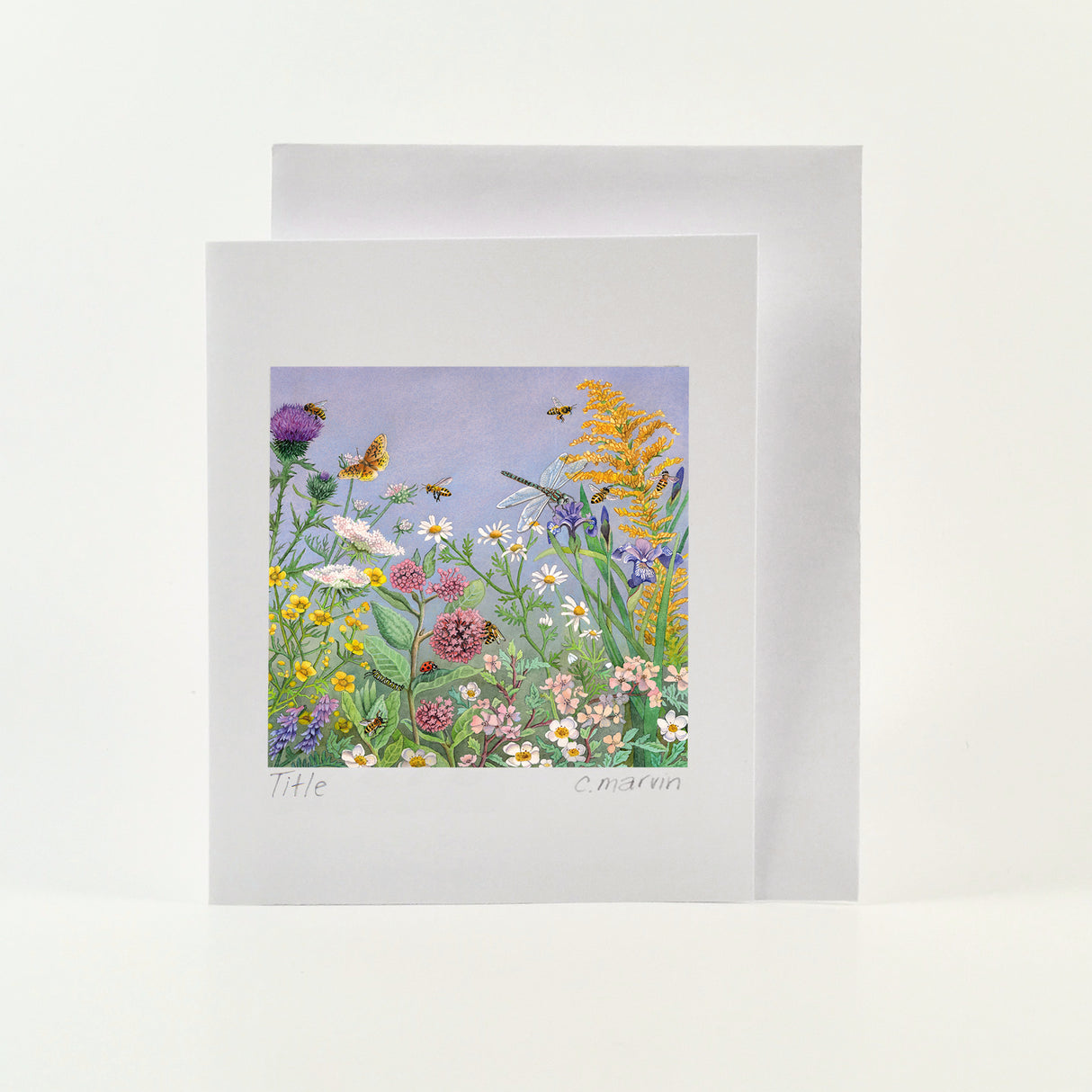 Wild - Wholesale Art Cards