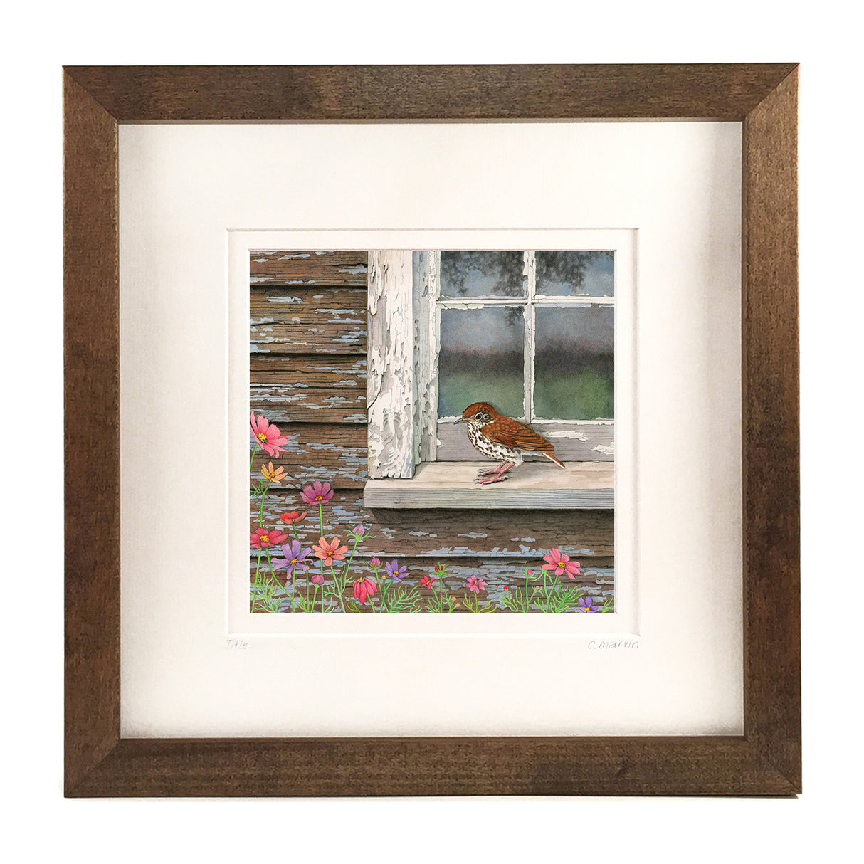 Wood Thrush at the Window