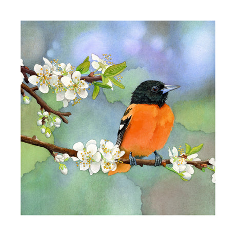 Apples and Oranges - Wood Mounted Art Print
