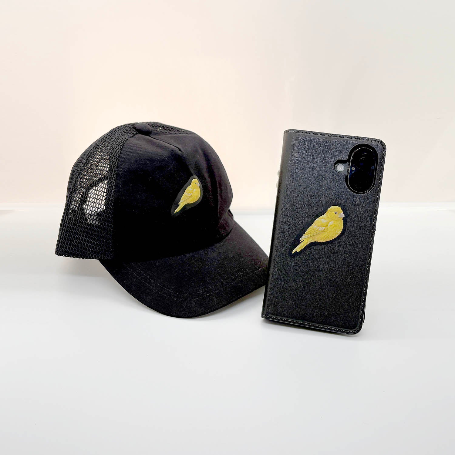 Canary Dry Rub Art Transfers - pack of 6 assorted sizes for black or white surfaces