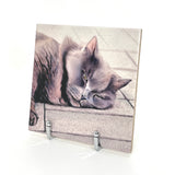 Bruce Art Tile