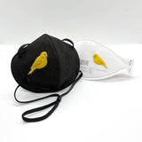 Canary Dry Rub Art Transfers - pack of 6 assorted sizes and colours