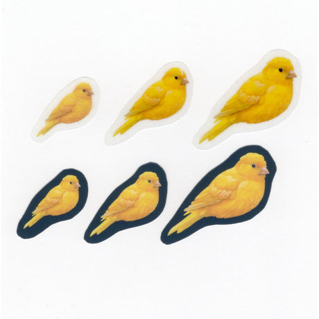 Canary Dry Rub Art Transfers - pack of 6 assorted sizes and colours