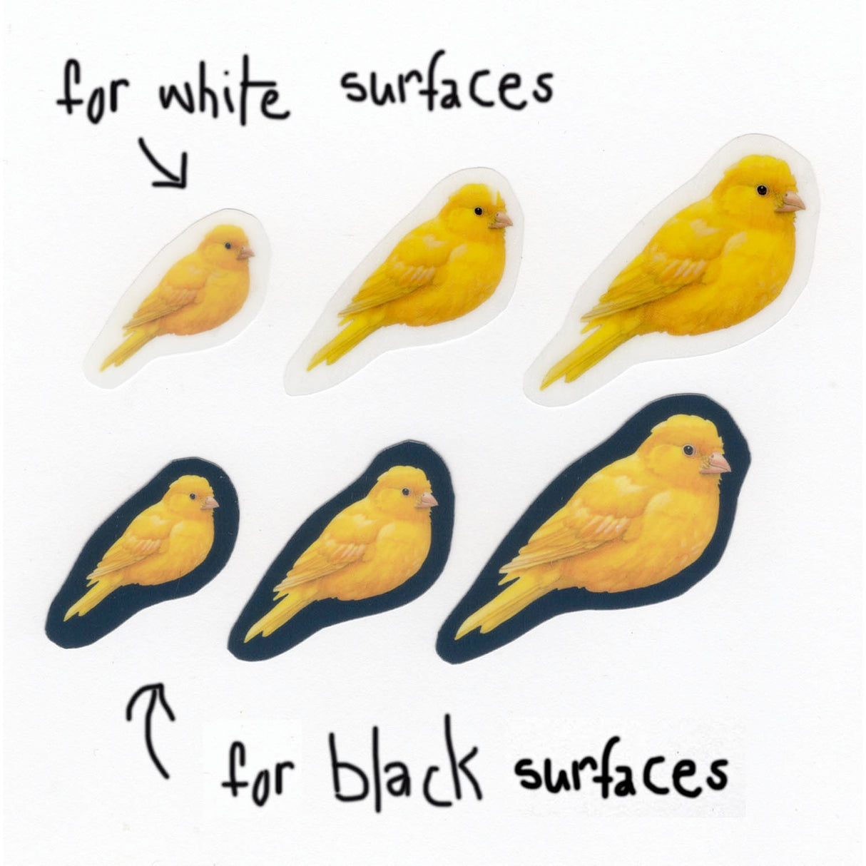 Canary Dry Rub Art Transfers - pack of 6 assorted sizes for black or white surfaces