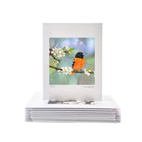 Apples and Oranges - Wholesale Art Cards