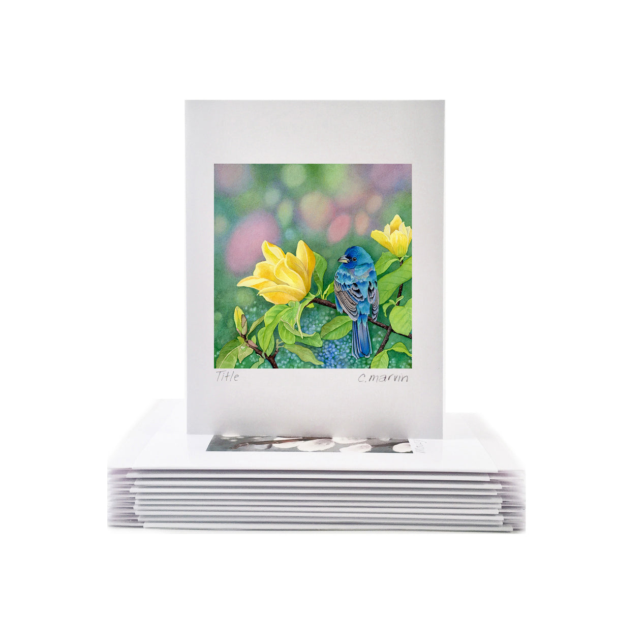 NEW! Yellow Meets Blue - Wholesale Art Cards