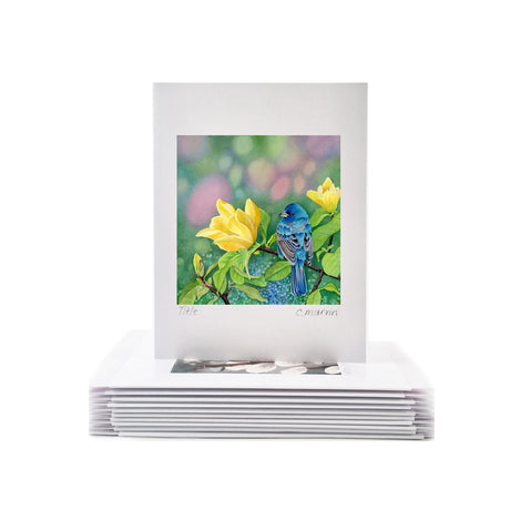 NEW! Yellow Meets Blue - Wholesale Art Cards