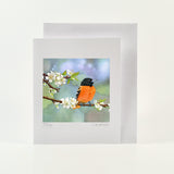 10 Newest Paintings Art Card Set of 10 (updated September 2026)