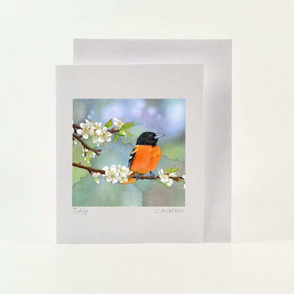 NEW! Apples and Oranges