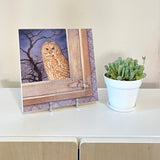 The Observer - Wood Mounted Art Print
