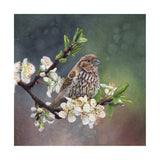 Plum Blossoms - Wood Mounted Art Print