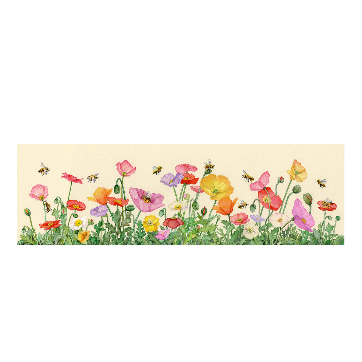 Poppies and Bees (long format framed print)