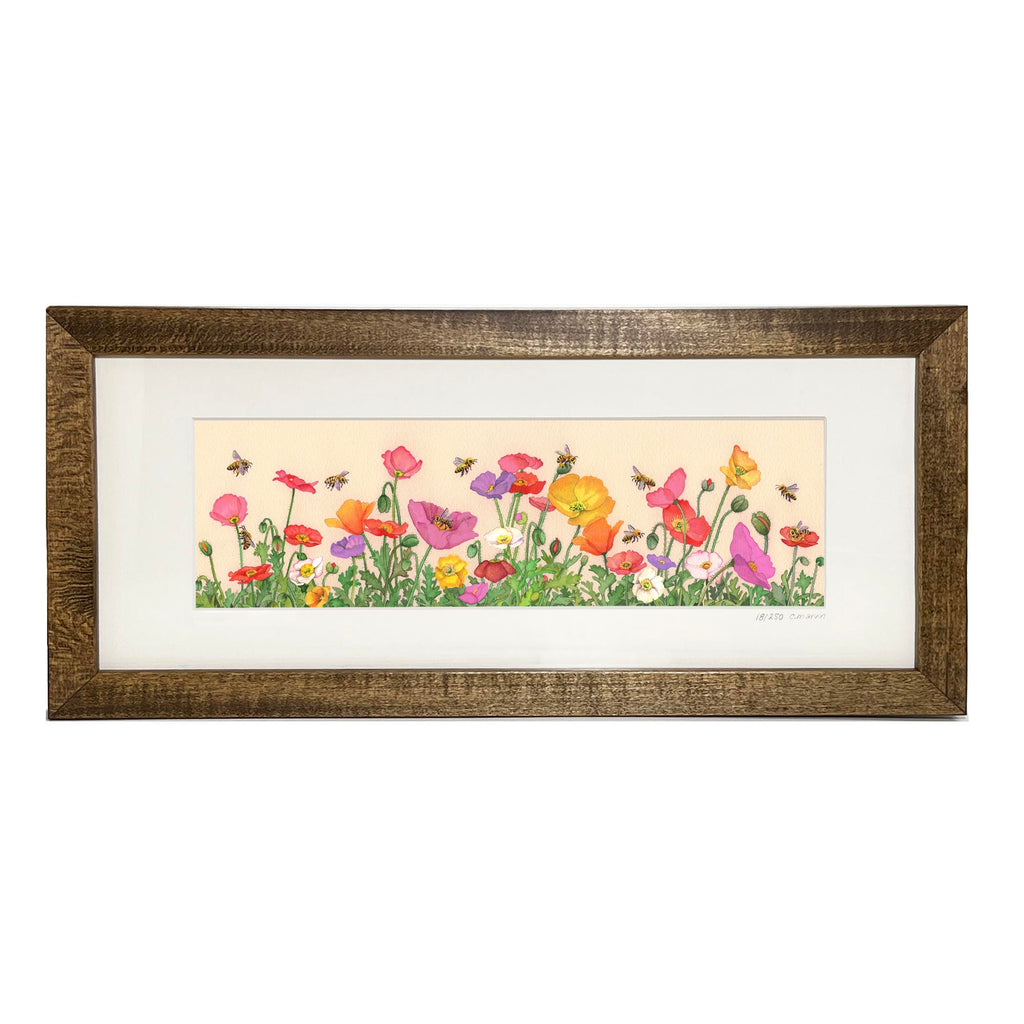 Poppies and Bees (long format framed print)