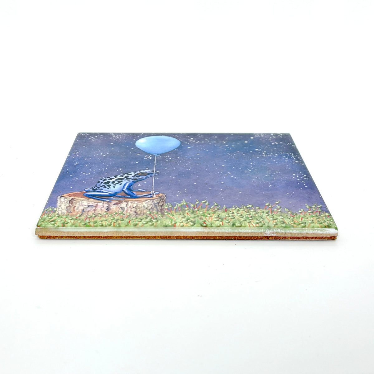 Ready for Lift Off Art Tile