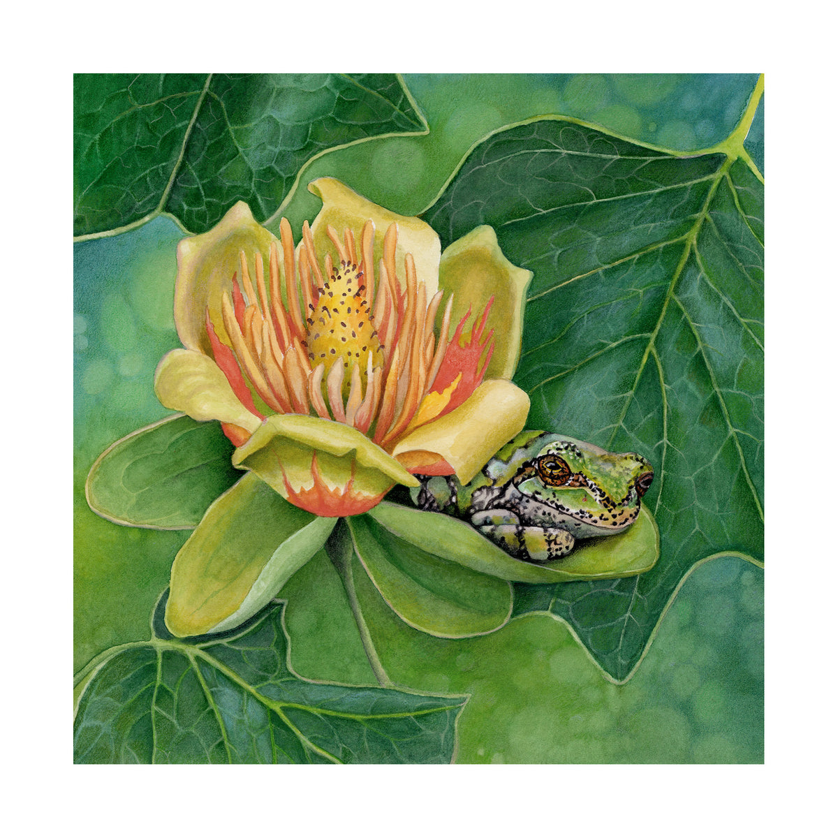 Shade of the Tulip Tree - Wood Mounted Art Print