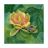 Shade of the Tulip Tree - Wood Mounted Art Print