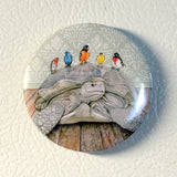 A Slow Commute - Art Magnet