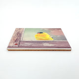 Window Finch Art Tile