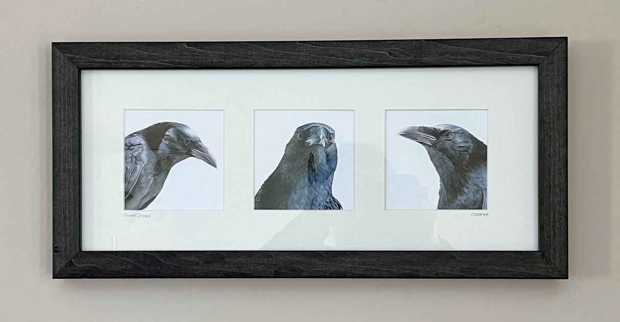 Three Crows