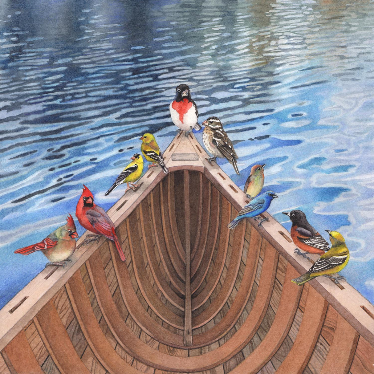 The Ark