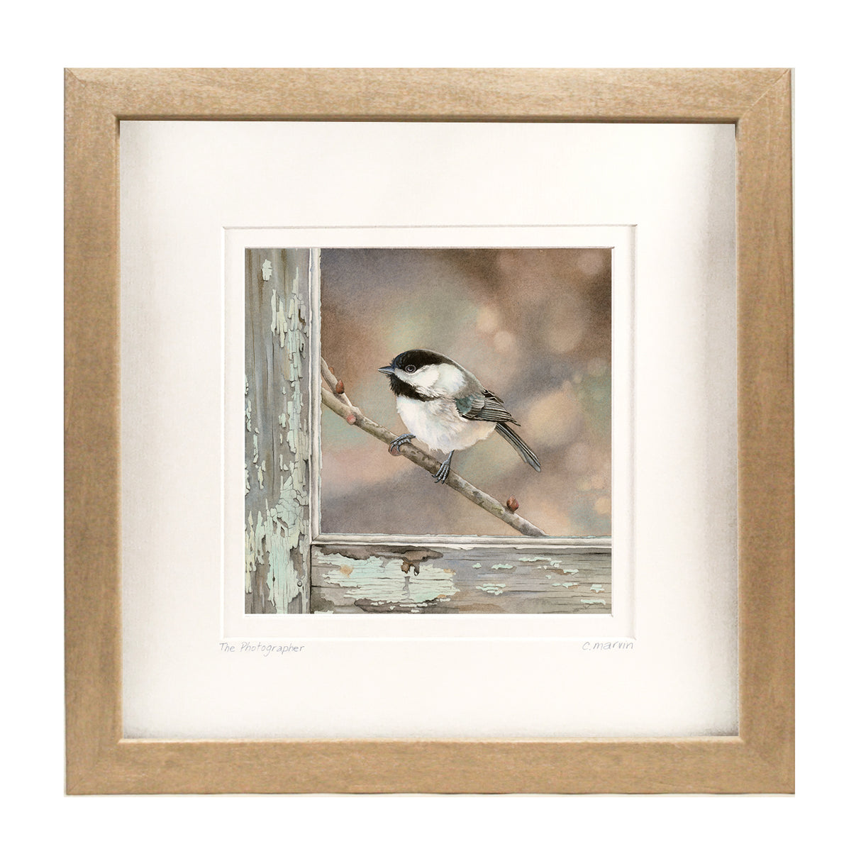 Bird on a Branch
