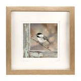 Bird on a Branch