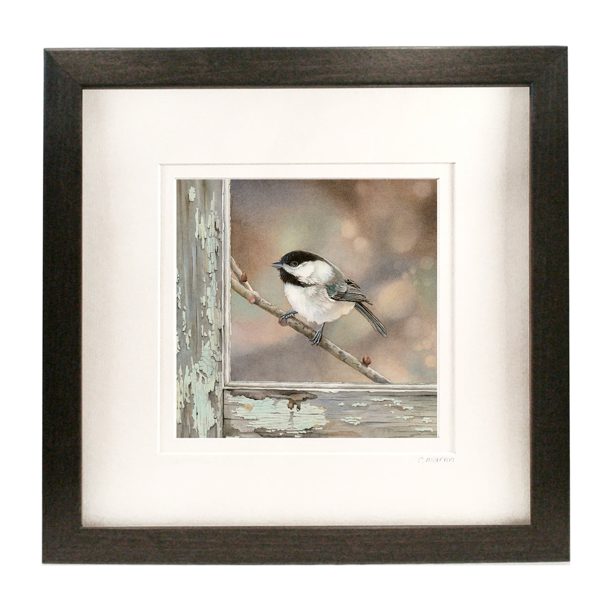 Bird on a Branch