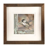 Bird on a Branch