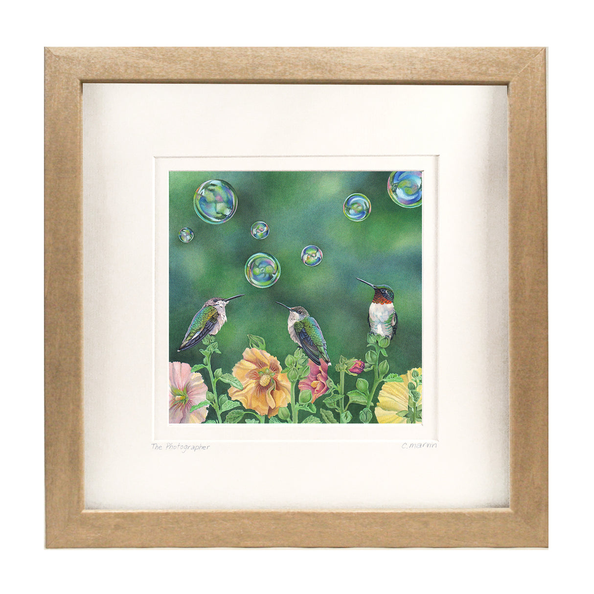 Bubble Birds