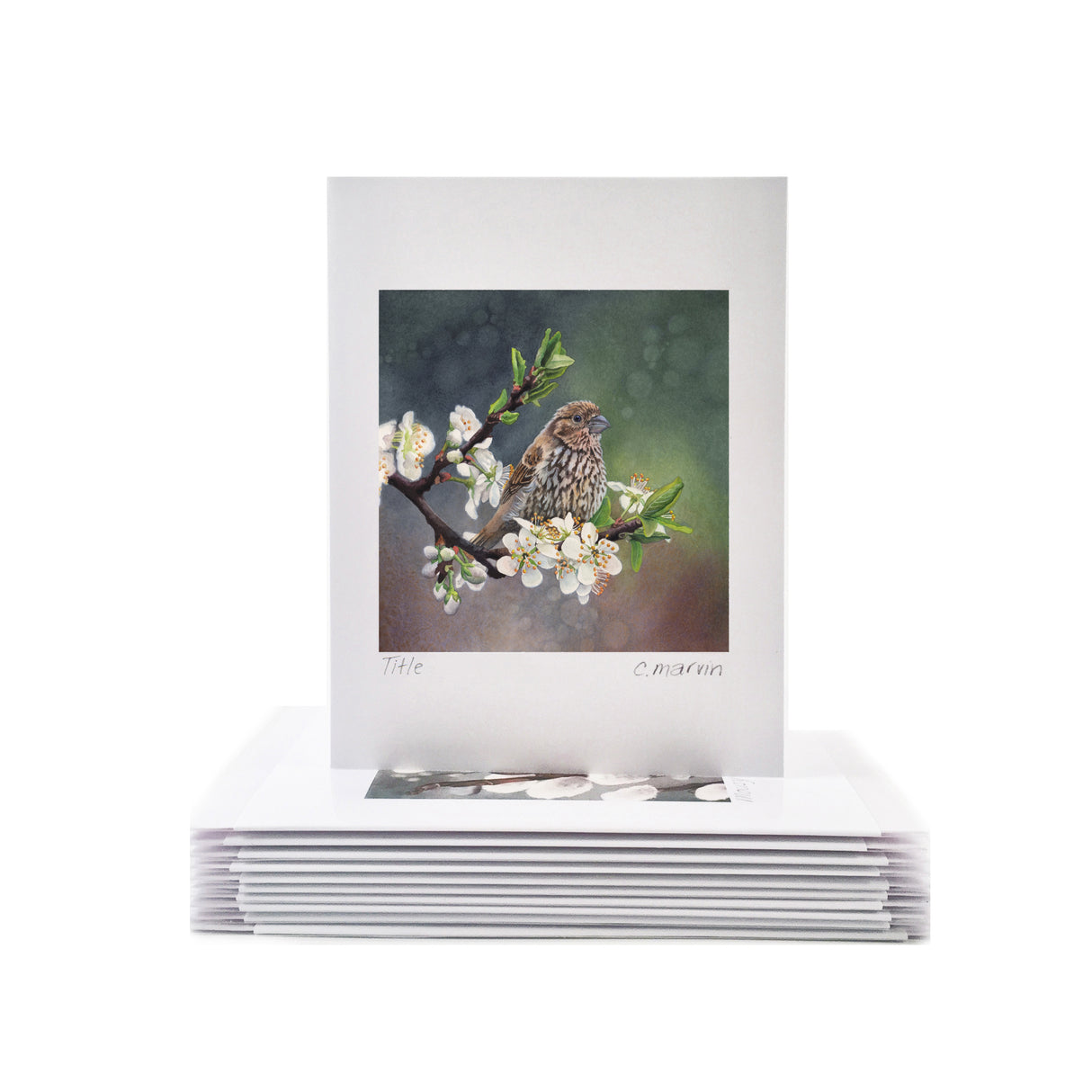 Plum Blossoms