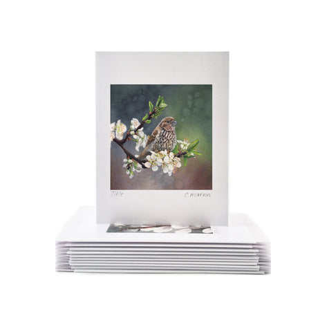 Plum Blossoms