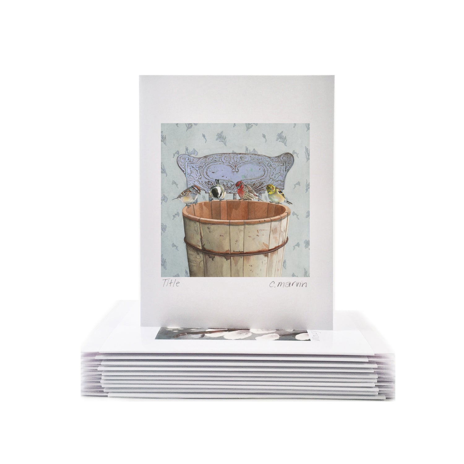 Songbirds Investigate