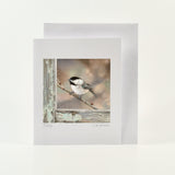 Bird on a Branch