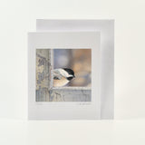 Chickadee Checks In