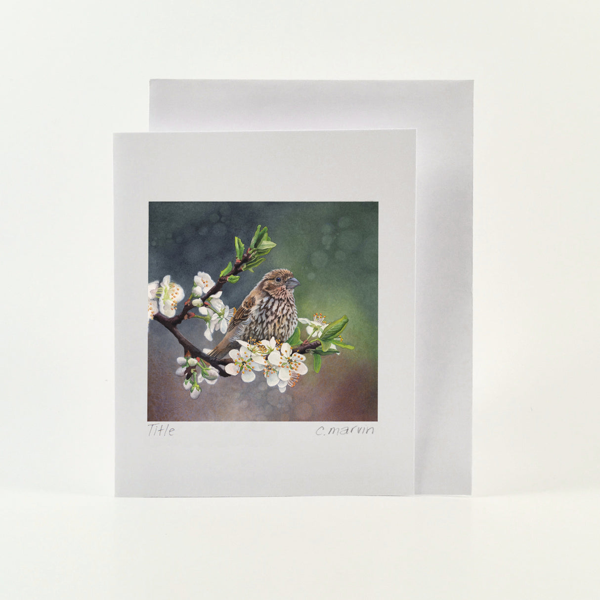 Plum Blossoms