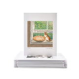 More Animals Set of 10