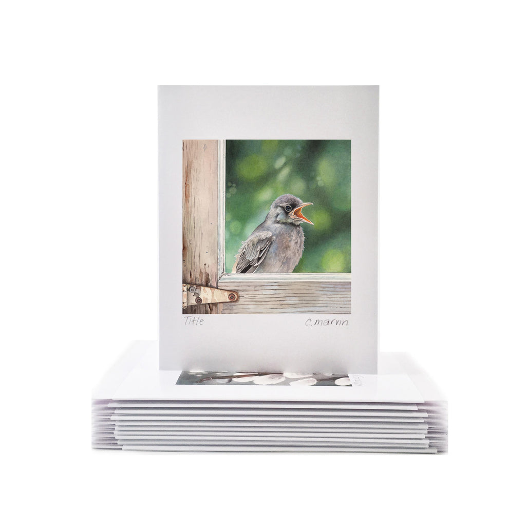Flycatcher - Wholesale Art Cards