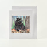 The Cat Collection set of 10