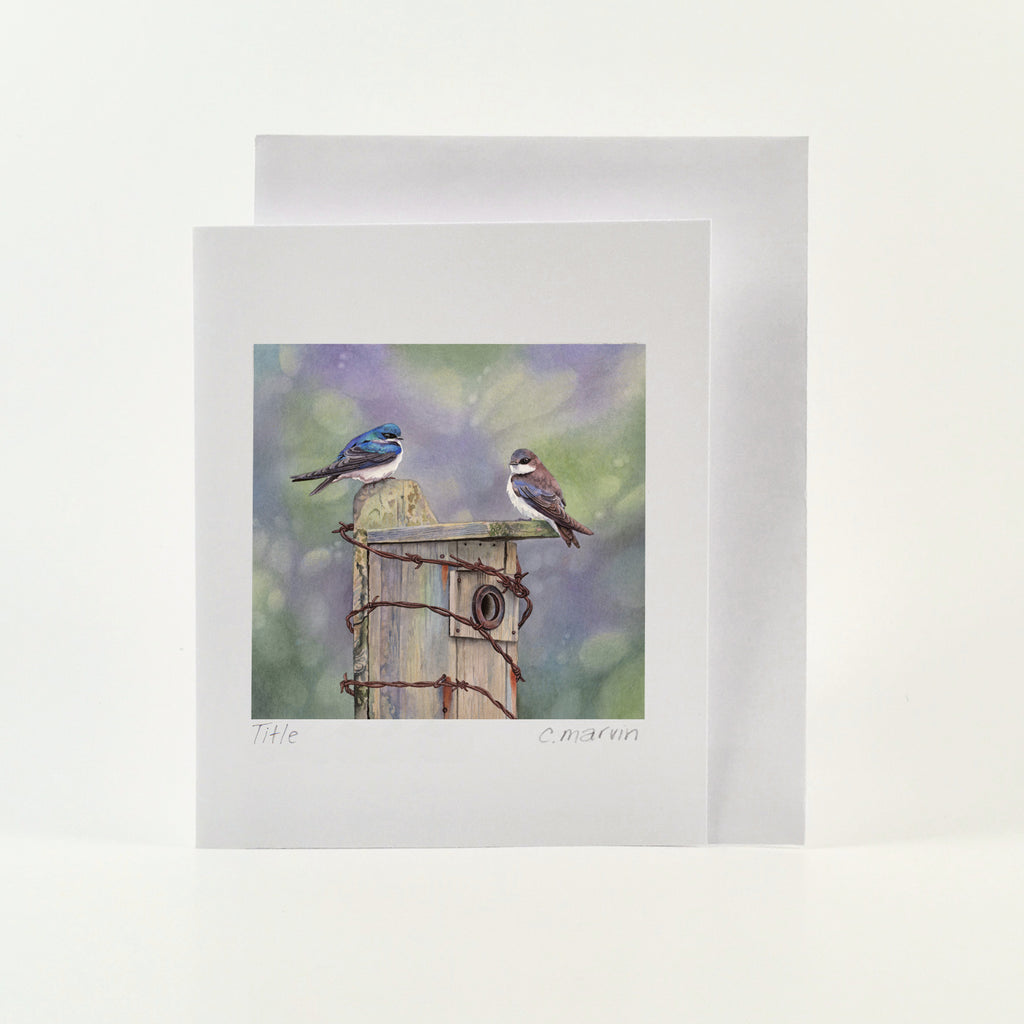 The Bird Collection #1 Art Cards set of 10