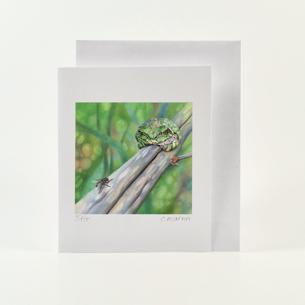 Let Sleepy Frogs Lie - Wholesale Art Cards