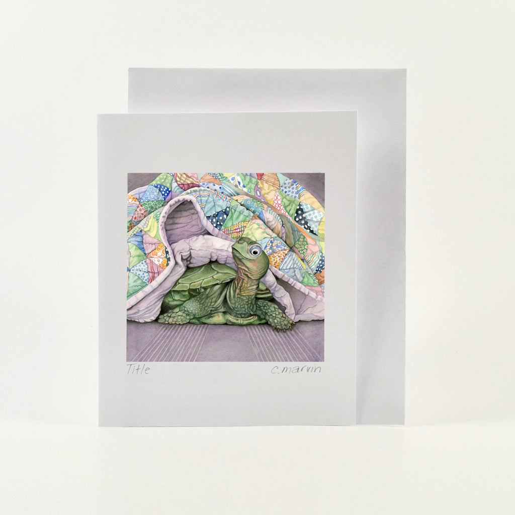 Napping Turtle - Wholesale Art Cards
