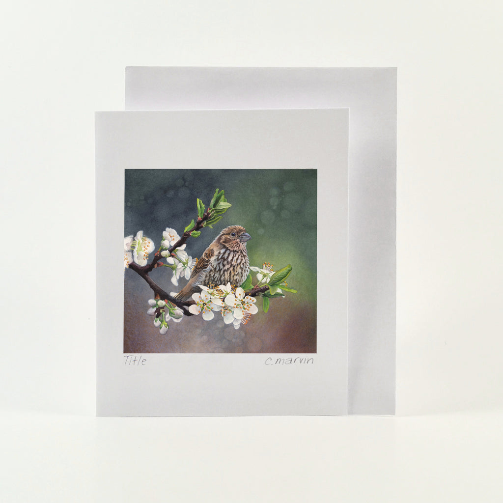 Plum Blossoms - Wholesale Art Cards