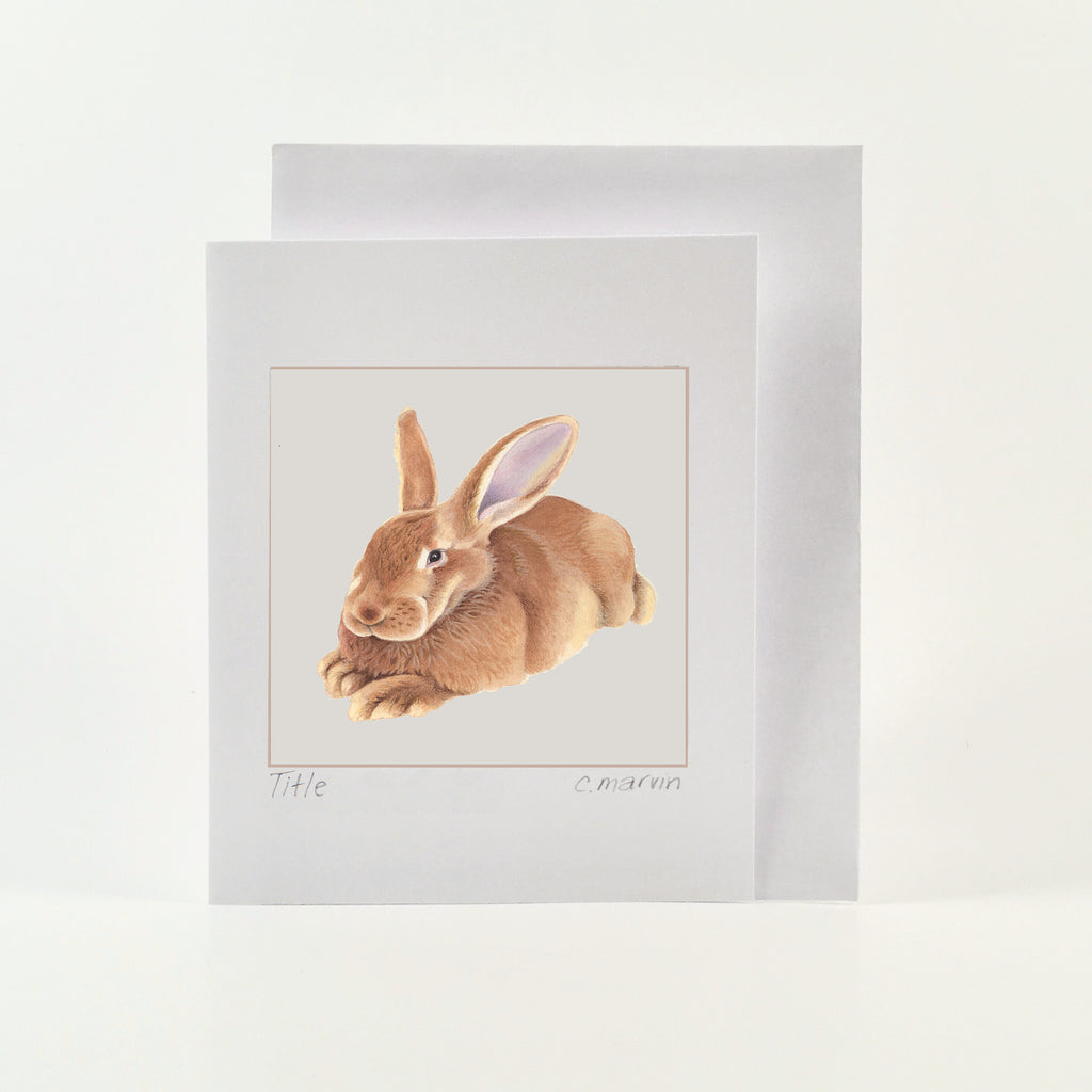 Resting Rabbit - Wholesale Art Cards