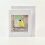 Cheerful Birds set of 10